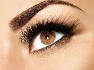 eyebrow shape and tint